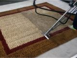 Best Way to Wash area Rug How to Clean An area Rug? An Ultimate Guide! Bio-clean Pottstown