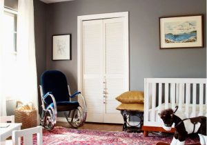 Blue oriental Rug Living Room Portfolio