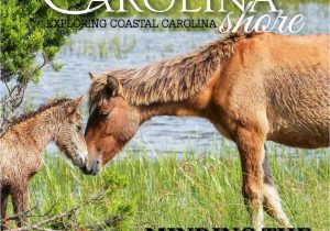 Cabell Carolina Wild area Rug Carolina Shore Spring Summer 2017 by Nccoast issuu