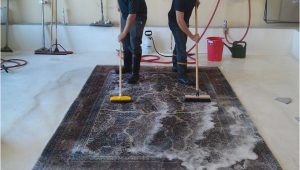 Can area Rugs Be Dry Cleaned Cleaning 101: How to Clean An area Rug – Shiny Carpet Cleaning