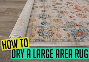 Can area Rugs Be Dry Cleaned How to Dry A Large area Rug [step by Step Guide]