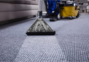 Can area Rugs Be Dry Cleaned the Ultimate Guide On How to Dry Carpet Fast after Cleaning