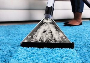Can area Rugs Be Steam Cleaned How to Steam Clean Carpeting Naturally Housewife How-tos