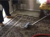 Can area Rugs Be Steam Cleaned Steam Cleaning area Rugs