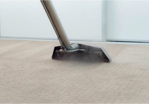 Can area Rugs Be Steam Cleaned the Best Way to Clean Carpet?