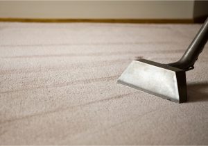 Can area Rugs Be Steam Cleaned why Carpet Can Look Worse after Cleaning Lovetoknow