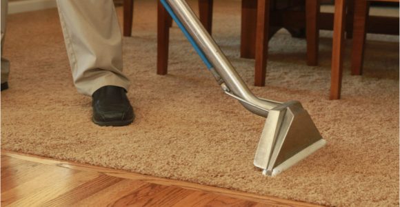 Can area Rugs Be Steam Cleaned Will Steam Cleaning Damage Carpet? Heartland Steam Cleaning Blog