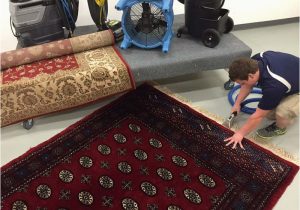 Can I Use A Carpet Cleaner On An area Rug area Rug Cleaning Drop Off Brothers Cleaning Services