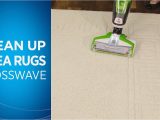 Can I Use A Carpet Cleaner On An area Rug Cleaning area Rugs with Your Crosswaveâ¢