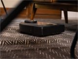 Can Roomba Clean area Rugs How to Set Up Your Home before A Robot Vacuum Cleans so It Won’t …