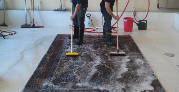 Can You Carpet Clean An area Rug Cleaning 101: How to Clean An area Rug – Shiny Carpet Cleaning