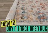 Can You Dry Clean area Rugs How to Dry A Large area Rug [step by Step Guide]