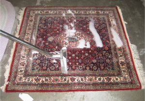 Can You Dry Clean area Rugs Professional Hand Wash Rug Cleaning and area Rug Dry Cleaning Services