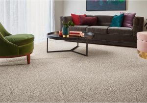 Can You Steam Clean A Wool area Rug Can You Steam Clean Wool Carpet? Sun Dry