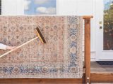 Can You Steam Clean A Wool area Rug How to Clean A Wool Rug with Household Items