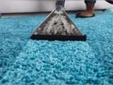 Can You Steam Clean A Wool area Rug How to Steam Clean Carpeting Naturally Housewife How-tos