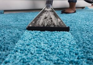 Can You Steam Clean A Wool area Rug How to Steam Clean Carpeting Naturally Housewife How-tos