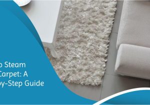 Can You Steam Clean A Wool area Rug How to Steam Clean Wool Carpet: A 5 Step-by-step Guide