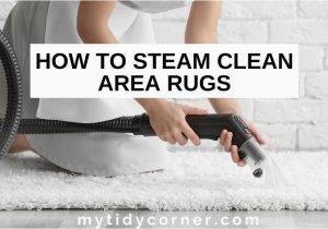 Can You Steam Clean An area Rug How to Steam Clean area Rugs – Diy Step-by-step Guide