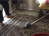 Can You Steam Clean An area Rug Steam Cleaning area Rugs