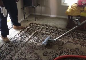 Can You Steam Clean An area Rug Steam Cleaning area Rugs