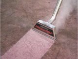 Can You Steam Clean Wool area Rugs How to Clean Wool Carpet Full Step by Step Guide