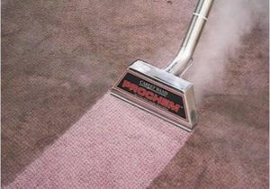 Can You Steam Clean Wool area Rugs How to Clean Wool Carpet Full Step by Step Guide