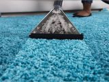 Can You Steam Clean Wool area Rugs How to Steam Clean Carpeting Naturally Housewife How-tos