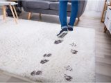 Can You Steam Clean Wool area Rugs How to Steam Clean Wool Carpet: A 5 Step-by-step Guide