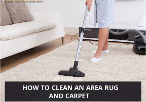 Can You Use Carpet Cleaner On area Rug How to Clean An area Rug and Carpet – Bold Rugs