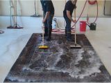 Clean area Rug with Carpet Cleaner Cleaning 101: How to Clean An area Rug – Shiny Carpet Cleaning
