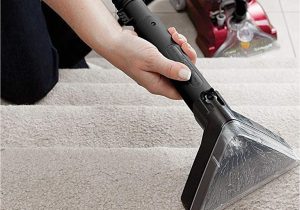 Clean area Rug with Steam Cleaner Best Steam Cleaners for Carpets, Couches, and Beyond Mashable