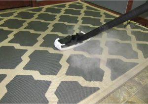 Clean area Rug with Steam Cleaner How to Clean An area Rug