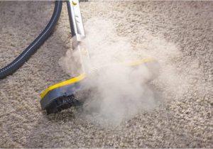 Clean area Rug with Steam Cleaner How to Clean Your Carpet with A Steam Mop (7 Easy Steps!)