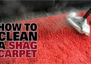 Clean area Rug with Steam Cleaner How to Steam Clean A Shag Carpet – Dupray