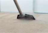 Clean area Rug with Steam Cleaner the Best Way to Clean Carpet?