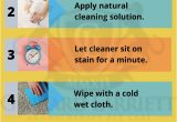 Clean Pet Urine From area Rug Vodka, which is Ethanol and Water at About 40 Percent Purity, is A Surprisingly Effective Way to …