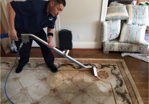 Cleaners that Clean area Rugs San Francisco area Rug Cleaning north American Chem-dry