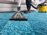 Cleaning An area Rug Yourself How to Clean Carpet Yourself? Best solutions for Dirty Carpet