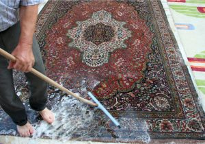 Cleaning area Rug with Hose How to Clean area Rugs 2022 Bungalow