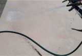 Cleaning area Rug with Hose How to Clean Your Carpet Rug with Water Hose