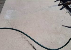 Cleaning area Rug with Hose How to Clean Your Carpet Rug with Water Hose