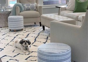 Coastal Living Room area Rugs 12 Best Navy and White area Rugs Under $200