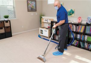 Companies that Clean area Rugs Near Me 1 Akron Carpet Cleaning Services Coit