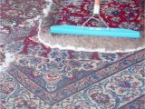 Companies that Clean area Rugs Near Me Keep Away From Fake area Rug Cleaning Companies In Middleburg …