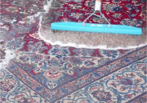 Companies that Clean area Rugs Near Me Keep Away From Fake area Rug Cleaning Companies In Middleburg …