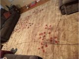 Copper Grove Uwharrie Red Floral area Rug top Product Reviews for Copper Grove Oxford Floral area Rug …