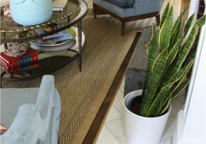 Cutting An area Rug to Size Living Room solution – Custom Cut Rug – Kelly Elko