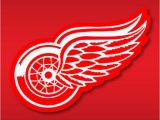Detroit Red Wings area Rug Red iPhone Wallpaper Hd