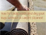 Do Dry Cleaners Clean area Rugs How to Easily Wash and Dry Your Rugs without A Carpet Cleaner …